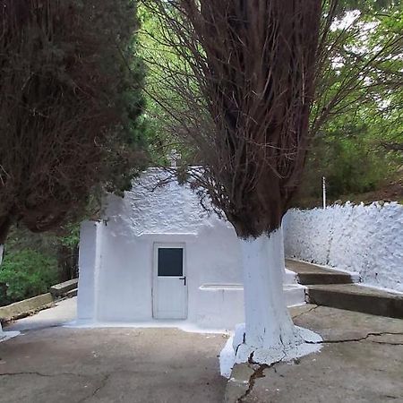 Traditional House In Asfendiou Agios Dimitrios  Luaran gambar