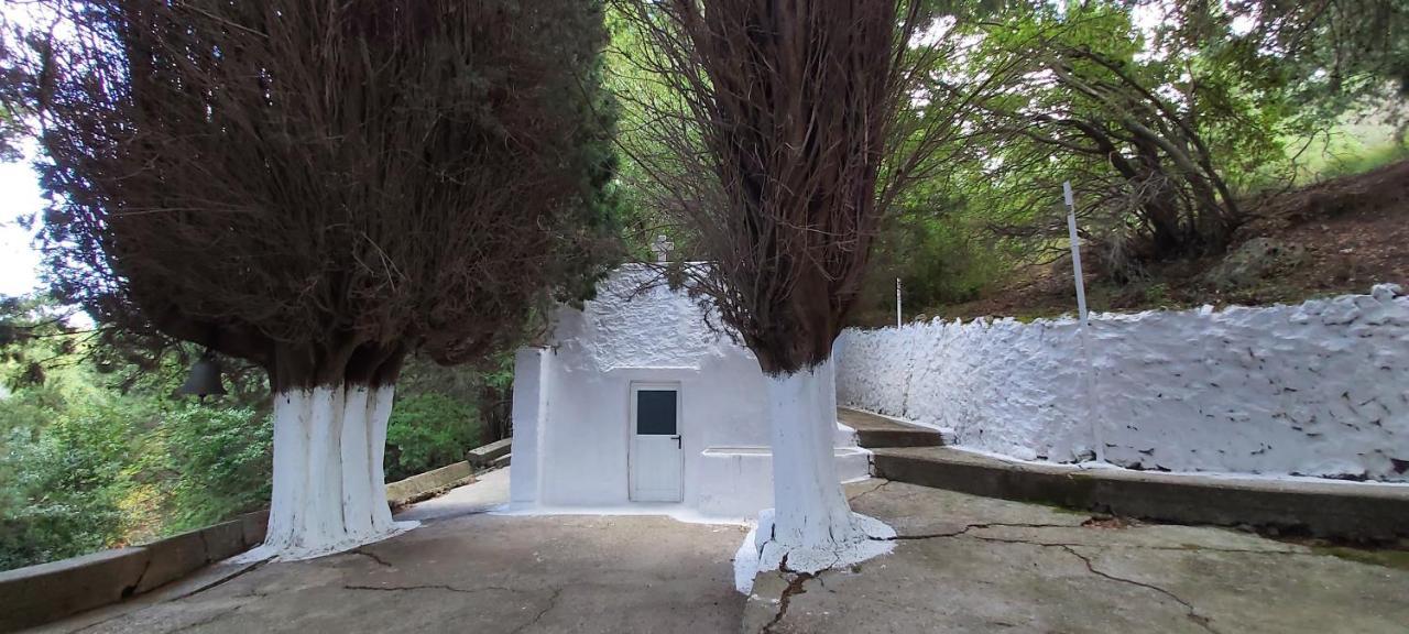 Traditional House In Asfendiou Agios Dimitrios  Luaran gambar