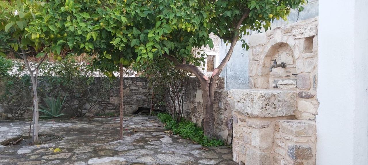 Traditional House In Asfendiou Agios Dimitrios  Luaran gambar