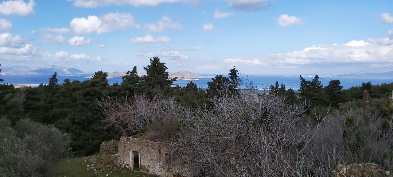 Traditional House In Asfendiou Agios Dimitrios  Luaran gambar